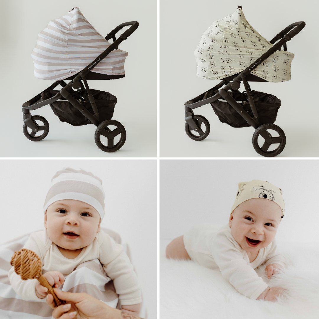 The Seashell & Honey Bundle