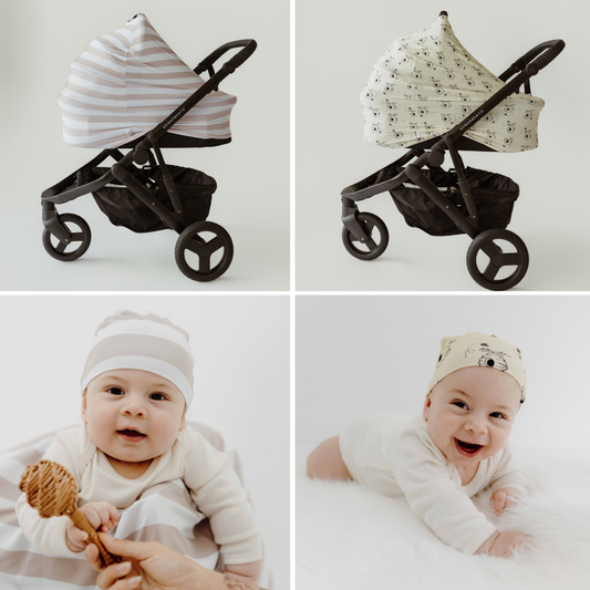 The Seashell & Honey Bundle